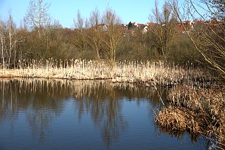 IMG_5354